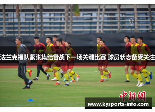 法兰克福队紧张集结备战下一场关键比赛 球员状态备受关注