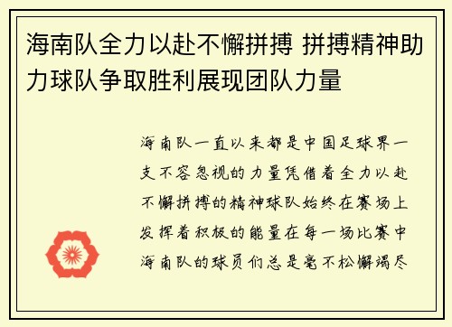 海南队全力以赴不懈拼搏 拼搏精神助力球队争取胜利展现团队力量