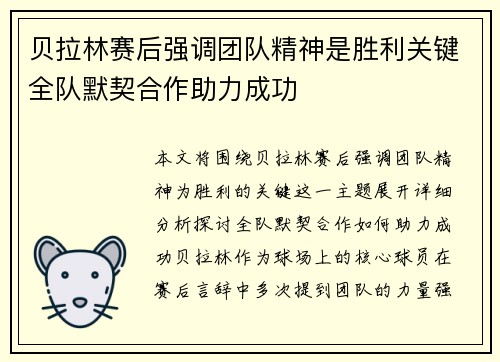 贝拉林赛后强调团队精神是胜利关键全队默契合作助力成功