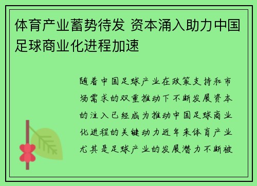 体育产业蓄势待发 资本涌入助力中国足球商业化进程加速